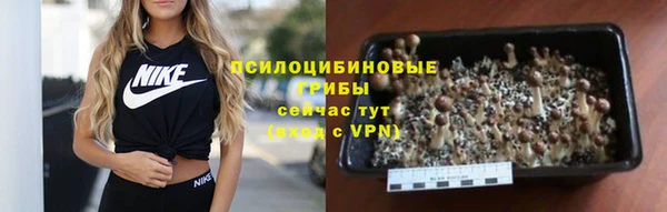 герыч Кулебаки