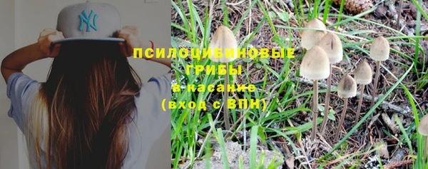 гашиш Кукмор