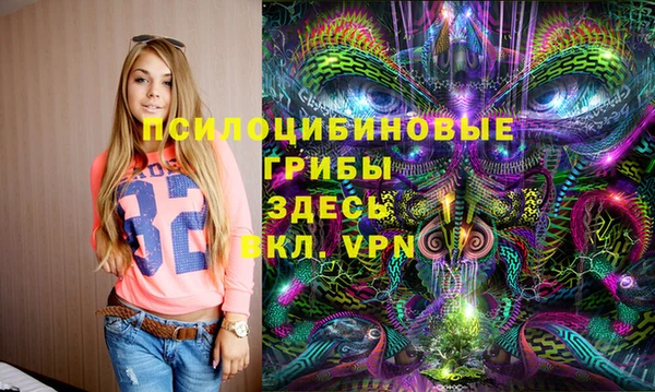 ГАЛЛЮЦИНОГЕННЫЕ ГРИБЫ Алзамай